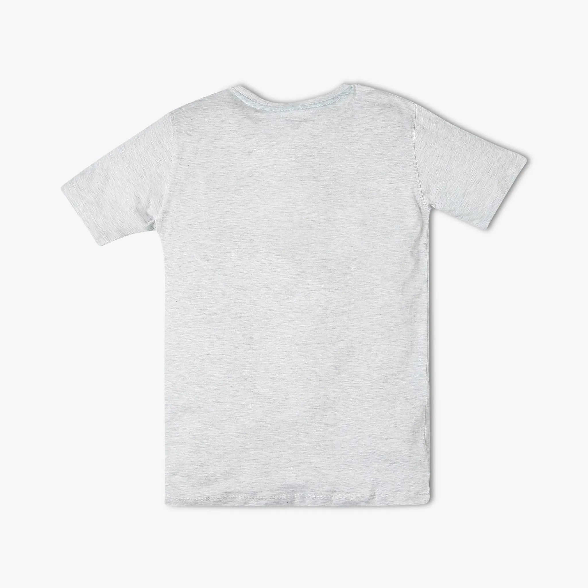 Boy's Regular Fit Graphic T-Shirt