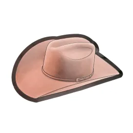 Brown cowboy hat  paper DESSERT PLATES   Set of 8