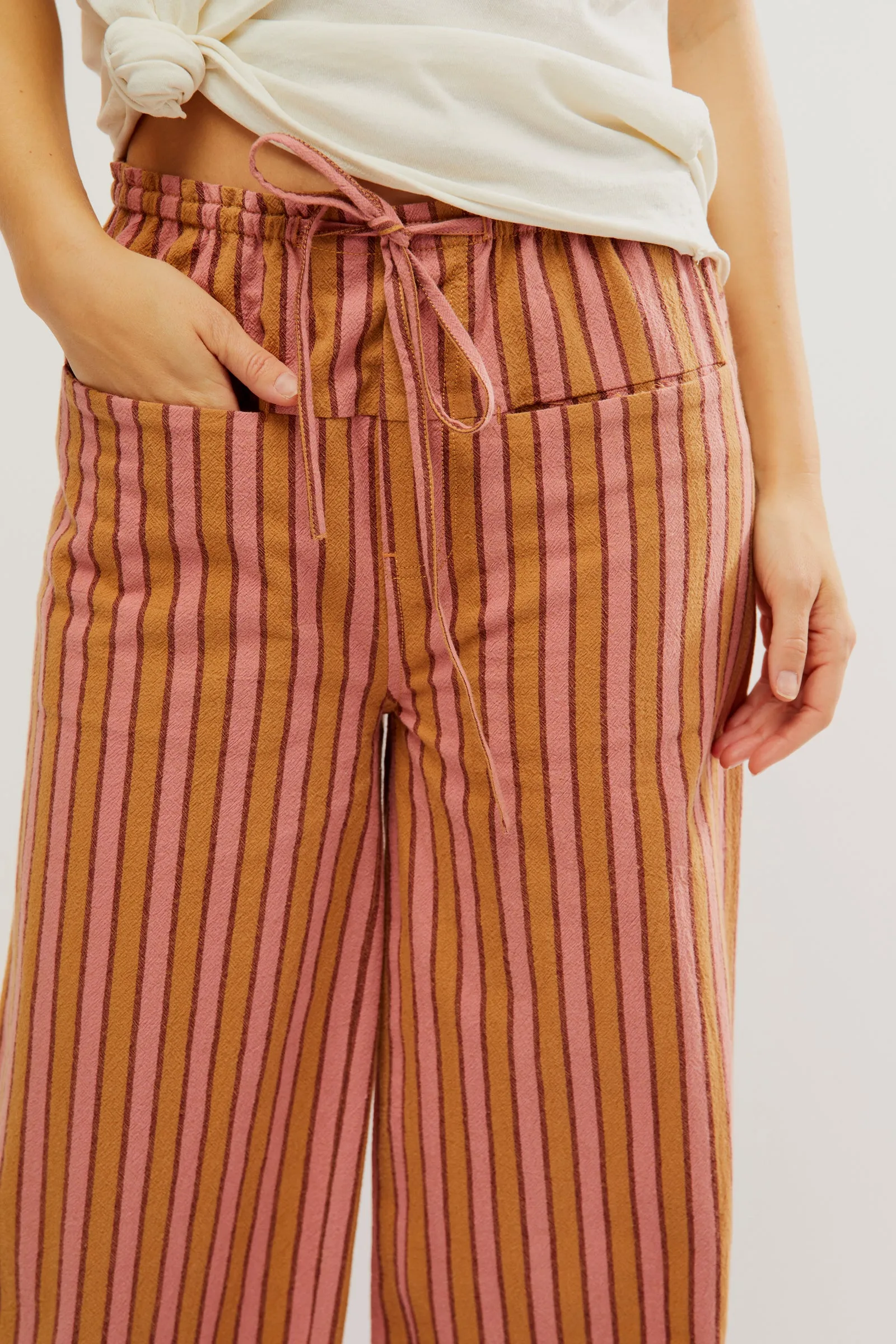 Free People Hudson Canyon Stripe Pant